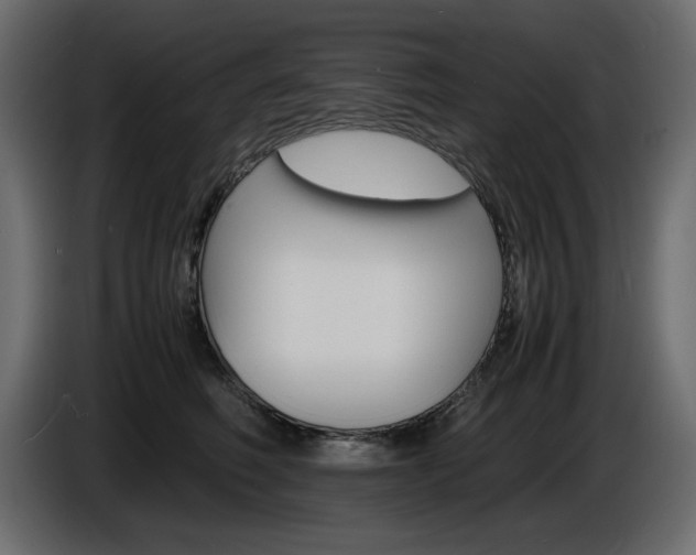 X0000086910614200704161010
