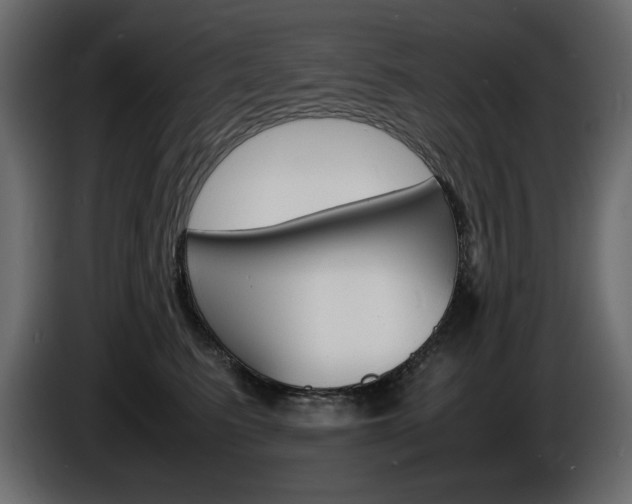 X0000086910615200704161010