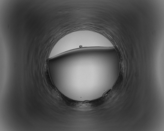 X0000086910617200704161010