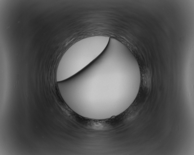 X0000086910618200704161010