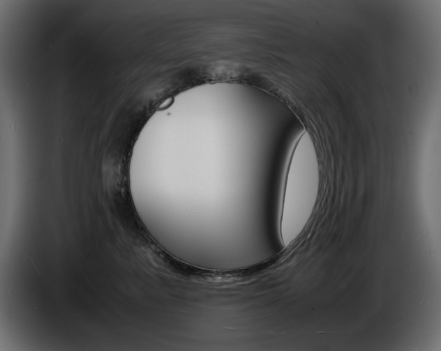X0000086910619200704161010