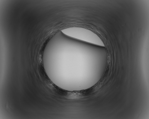 X0000086910621200704161010