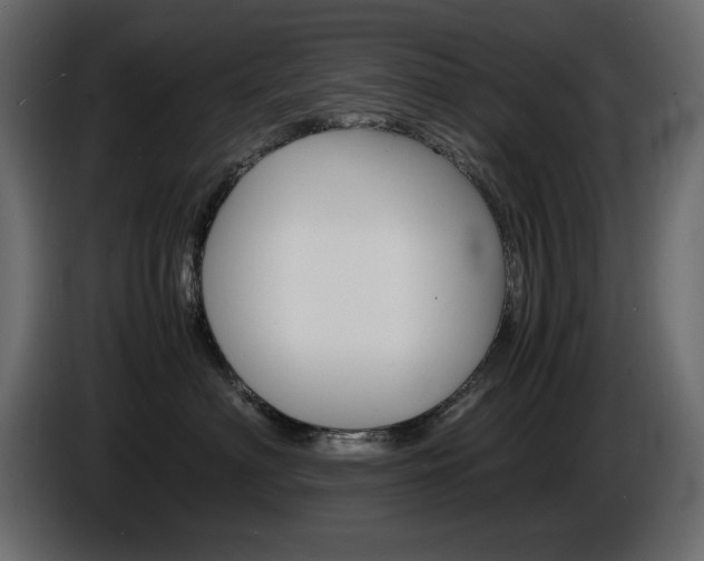 X0000086910622200704161010