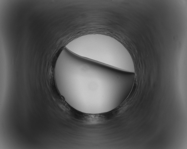 X0000086910623200704161010