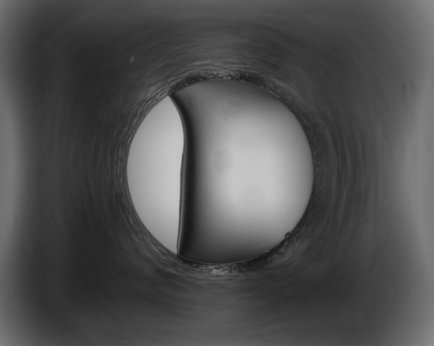 X0000086910624200704161010