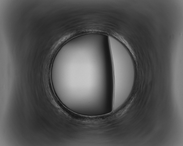 X0000086910625200704161010