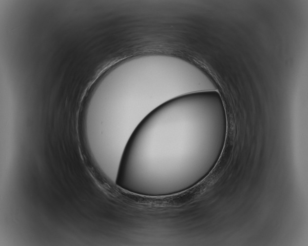 X0000086910626200704161010
