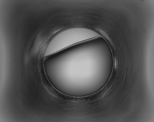 X0000086910627200704161010