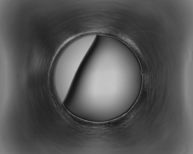 X0000086910628200704161010