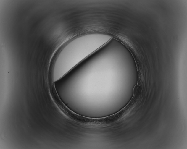 X0000086910630200704161010