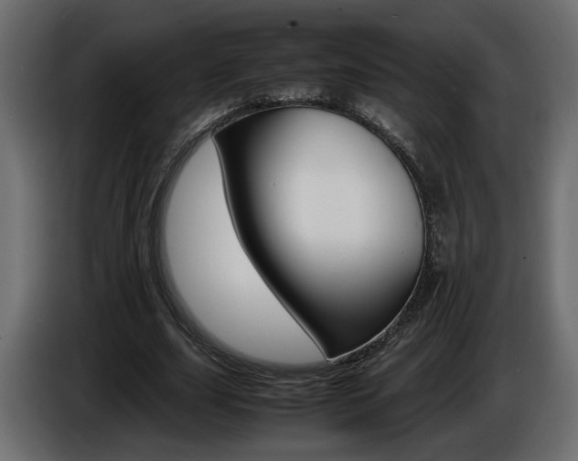 X0000086910631200704161010