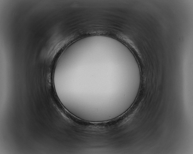 X0000086910633200704161010