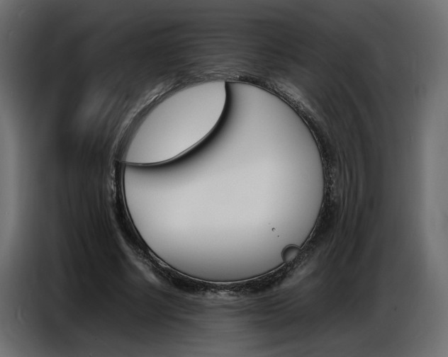 X0000086910634200704161010