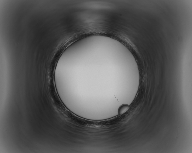 X0000086910635200704161010