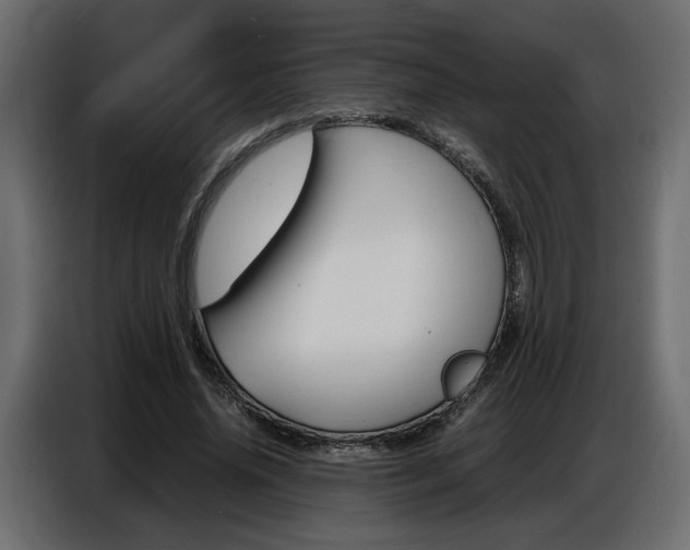 X0000086910636200704161010