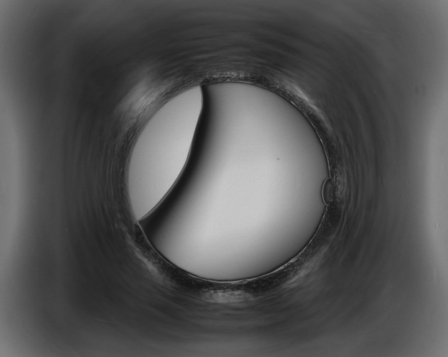 X0000086910637200704161010