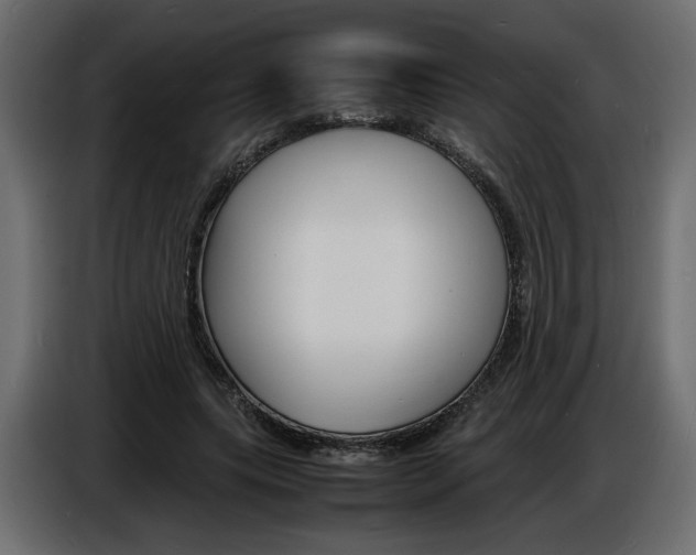 X0000086910639200704161010