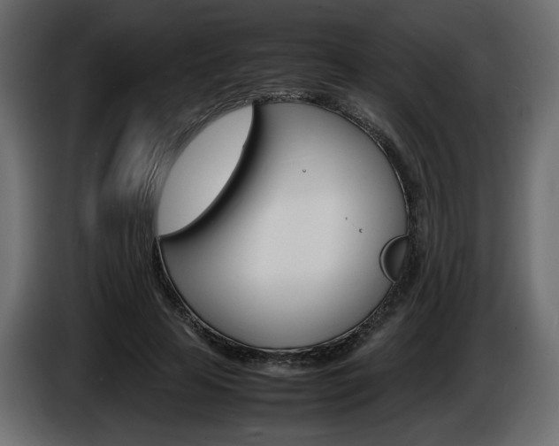X0000086910641200704161010