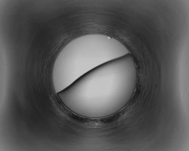 X0000086910642200704161010