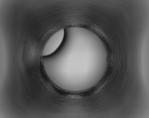 X0000086910644200704161010