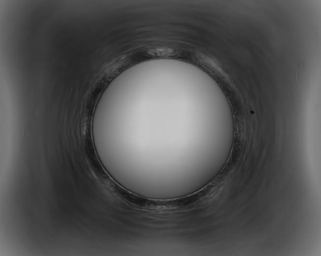 X0000086910645200704161010