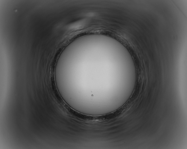 X0000086910647200704161010