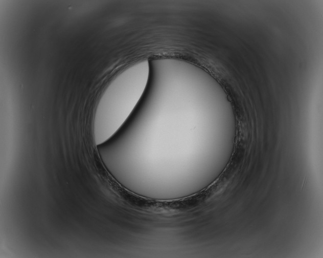 X0000086910648200704161010