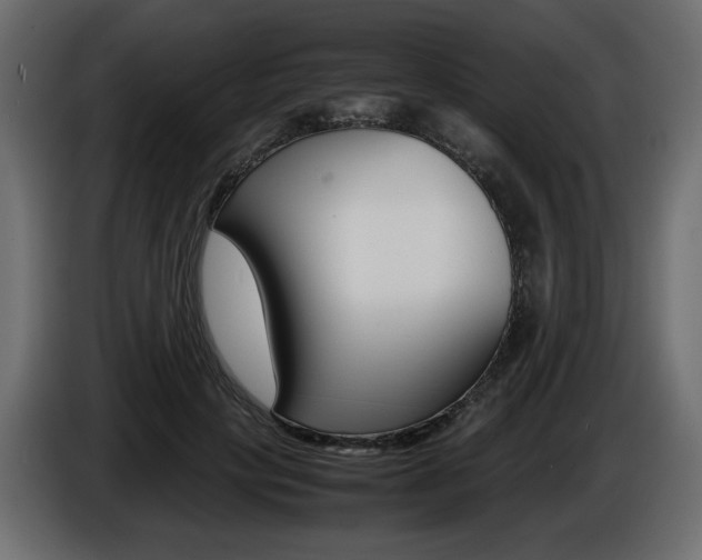 X0000086910649200704161010