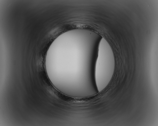 X0000086910650200704161010