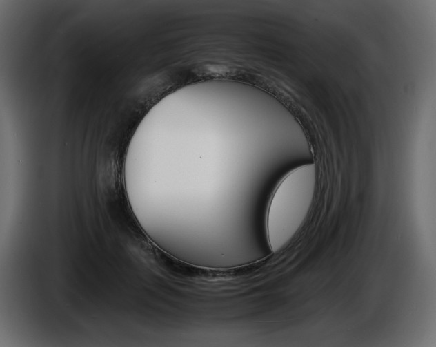X0000086910651200704161010