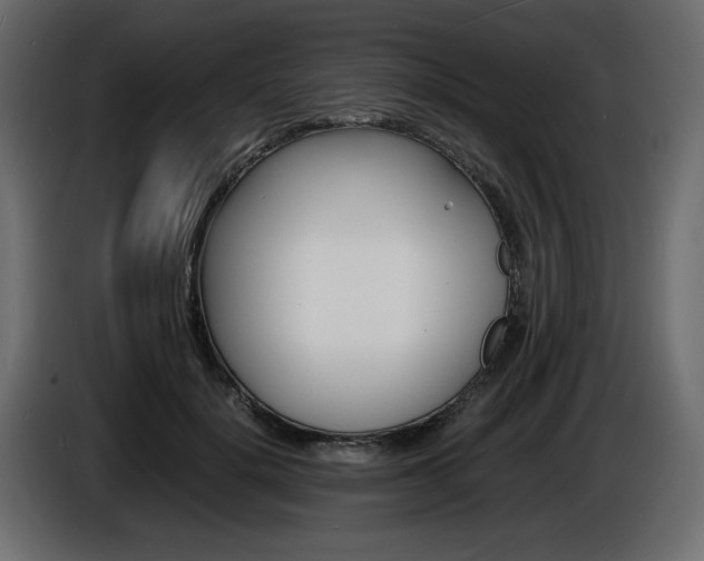 X0000086910652200704161010