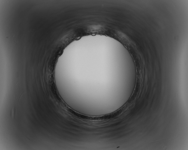 X0000086910653200704161010