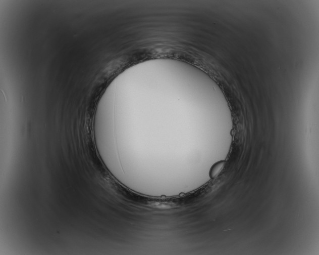 X0000086910654200704161010