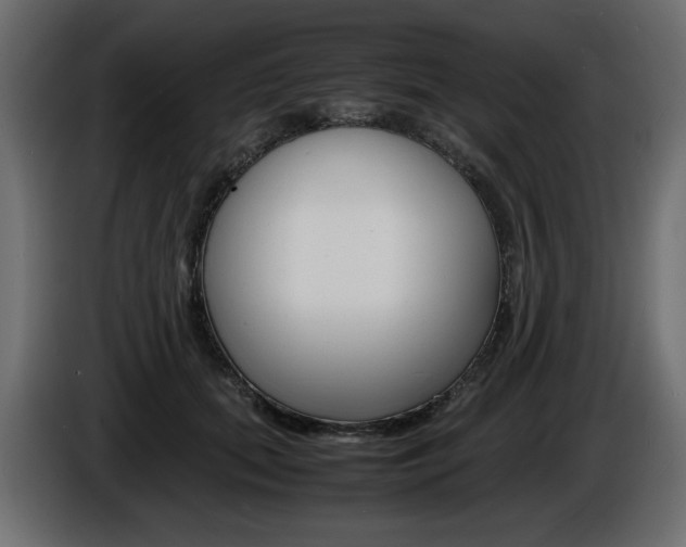 X0000086910655200704161010