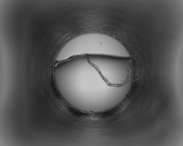 X0000086910656200704161010