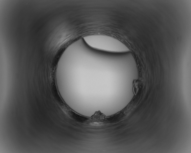 X0000086910658200704161010