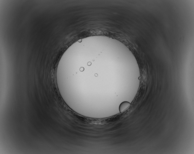 X0000086910659200704161010