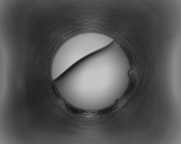 X0000086910660200704161010