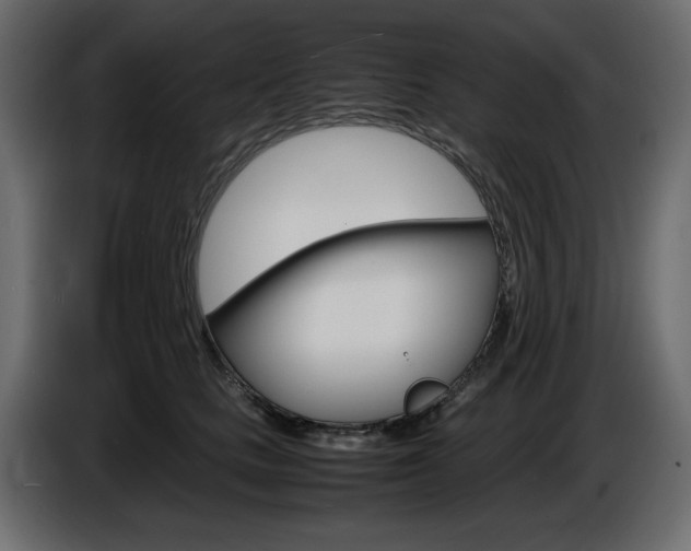 X0000086910661200704161010