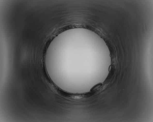 X0000086910662200704161010
