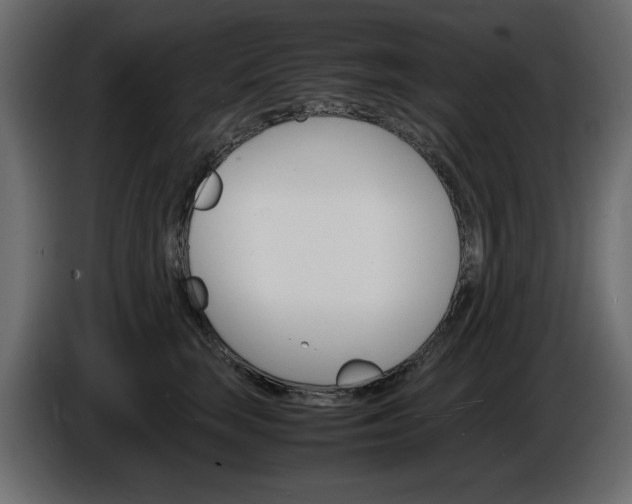X0000086910663200704161010