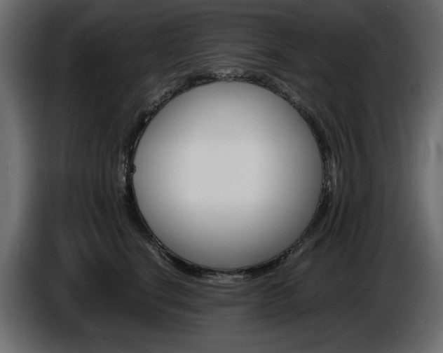 X0000086910664200704161010