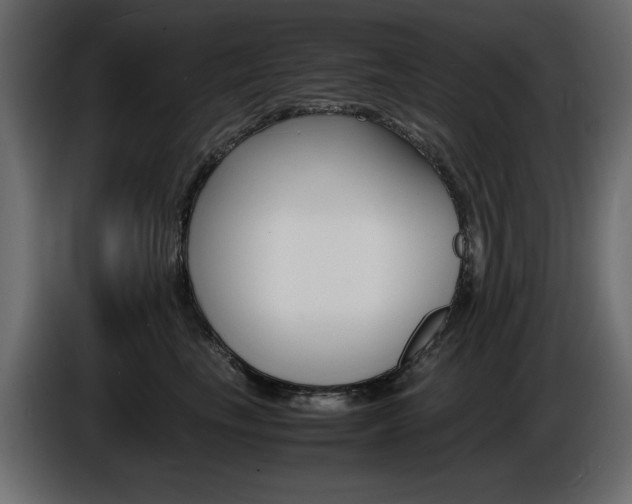 X0000086910665200704161010