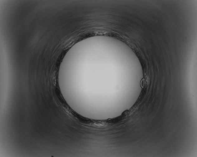 X0000086910666200704161010