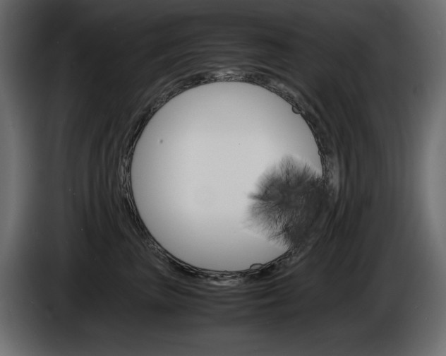 X0000086910667200704161010