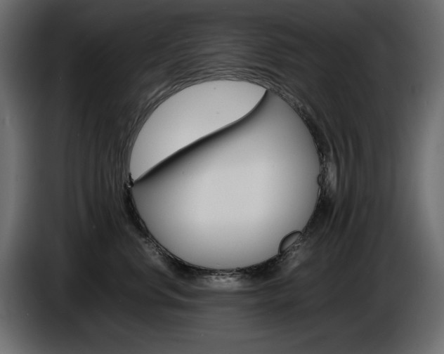 X0000086910668200704161010