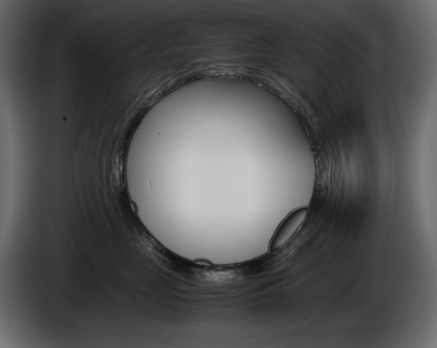 X0000086910669200704161010