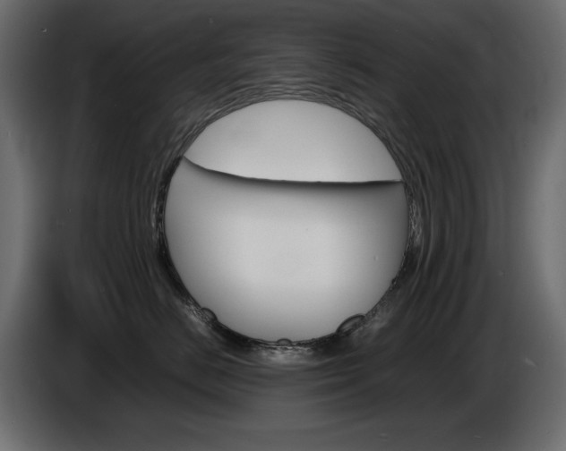 X0000086910670200704161010