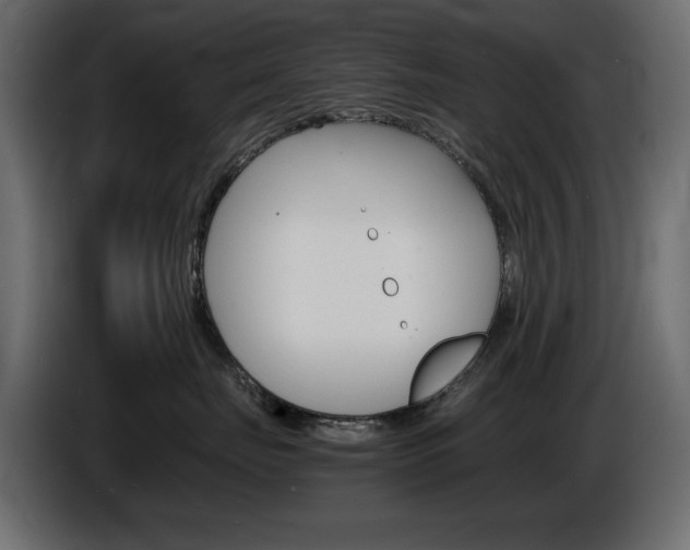 X0000086910671200704161010