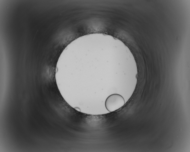 X0000086910672200704161010